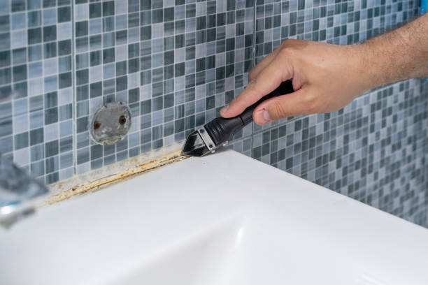 Best Mold Testing  in Raton, NM
