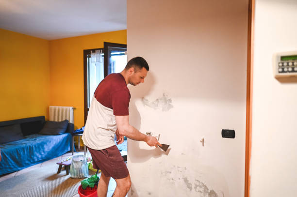 Best Commercial Mold Removal  in Raton, NM